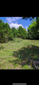 Photo de galerie - Terrain après l’entretien 