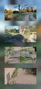 Photo de galerie - Tonte de pelouse - Débroussaillage