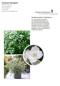 Photo de galerie - Fiche conseil plantation