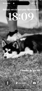 Photo de galerie - Passionnée par les animaux, je veille toujours à leur bien-être et à leur bonheur