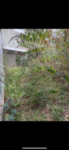 Photo de galerie - Avant 