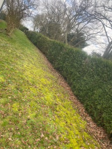 Photo de galerie - Jardinier