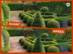 Photo de galerie - Entretien de jardin - taille de haie - nettoyage