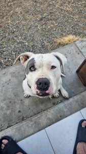 Photo de galerie - Eisky