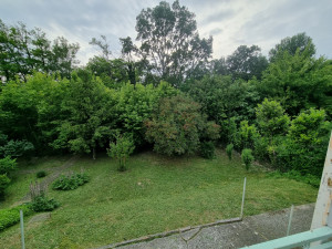 Photo de galerie - Tonte de pelouse