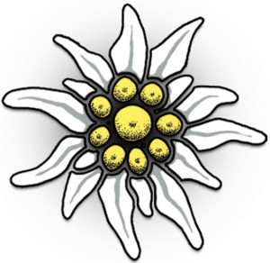 Photo de galerie - Bricolage et multi services