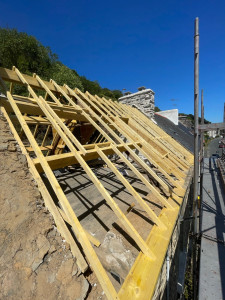 Photo de galerie - Charpente