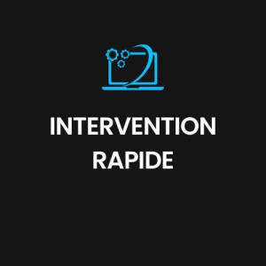 Photo de galerie - Intervention rapide sur la région parisienne