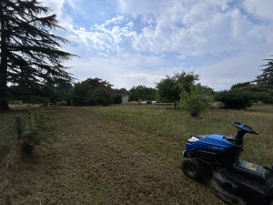 Photo de galerie - Tonte de pelouse 