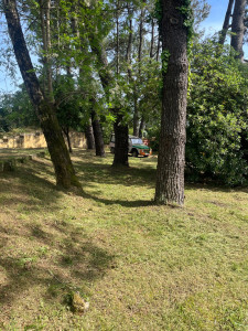 Photo de galerie - Débroussaillage 