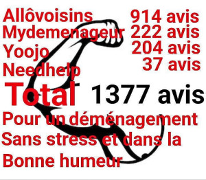 Photo de galerie - Pour un déménagement garanti sans stress et dans la bonne humeur
