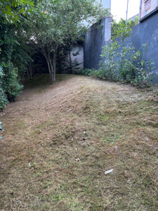 Photo de galerie - Débroussaillage, tonte