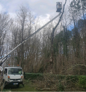 Photo de galerie - Travaux avec nacelle