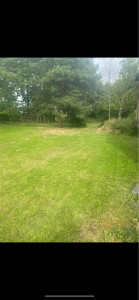 Photo de galerie - Tonte de gazon 