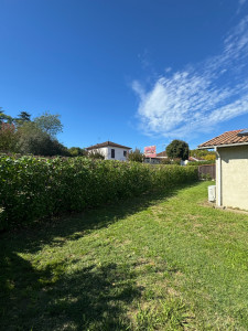 Photo de galerie - Rabattage de haie (Après) 