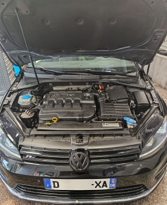 Photo de galerie - Volkswagen golf 7 R-LINE  Remplacement (Vanne EGR) secondaire. 
+ démontage et nettoyage crepine carter d'huile ! beaucoup particule de fer retrouvé à l'intérieur. 
