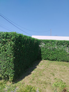 Photo de galerie - Après 