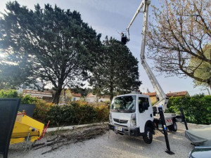 Photo de galerie - Élagage avec camion, nacelle en toute sécurité