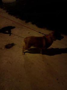 Photo de galerie - Nina en sortie - 03/26