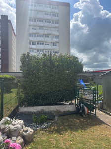 Photo de galerie - Taille laurier 