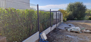 Photo de galerie - Délimitation de terrain