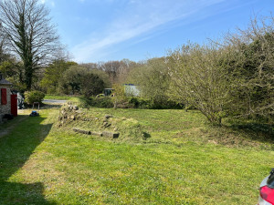 Photo de galerie - Tonte de pelouse - Débroussaillage