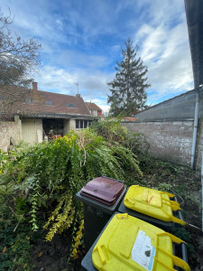 Photo de galerie - Déracinage 