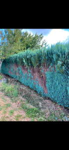 Photo de galerie - Paysagiste - Aménagement du jardin