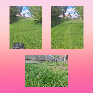 Photo de galerie - Tonte herbes haute 