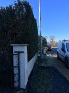 Photo de galerie - Taille de haie