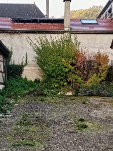 Photo de galerie - Taille de haies et d'arbustes