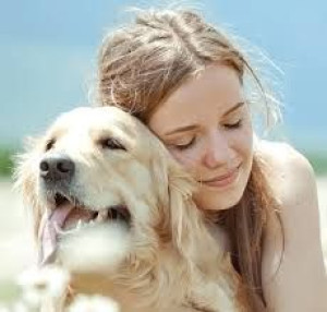 Photo de galerie - Garde animaux