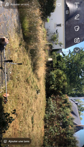 Photo de galerie - Débroussailler 