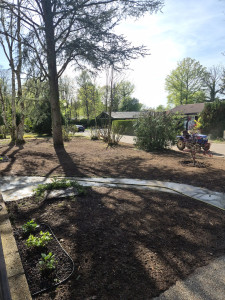 Photo de galerie - Jardinier