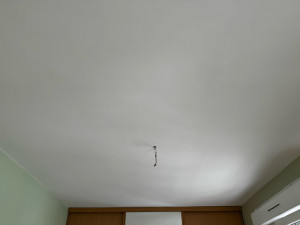 Photo de galerie - Enduit et peinture plafond (Après)