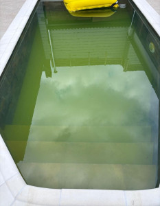 Photo de galerie - Entretien piscine