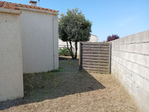 Photo de galerie - Elagage et coupe d'arbres