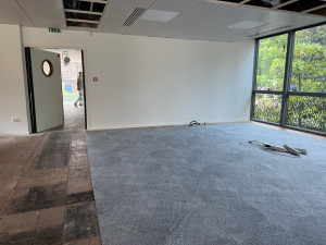 Photo de galerie - Peinture - Tapisserie
