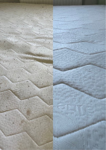 Photo de galerie - Avant - Après 