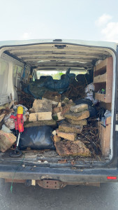Photo de galerie - Évacuation de déchets 