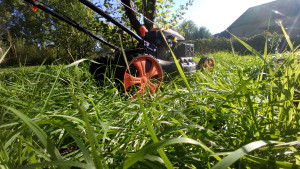 Photo de galerie - C'est parti pour la première tonte de l'année 