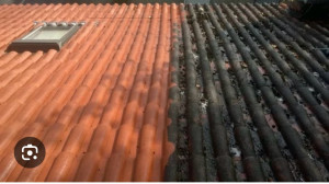 Photo de galerie - Couverture - Toiture