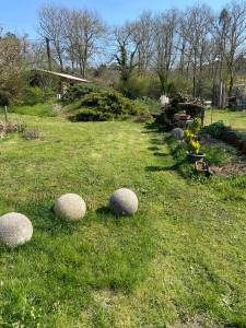 Photo de galerie - Entretien de jardin