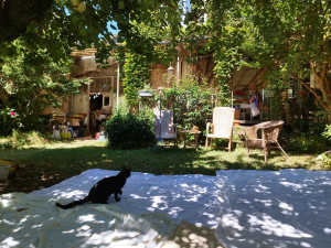 Photo de galerie - Velour, client de Juillac, appréciant l'activité chasse aux feuilles