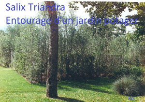 Photo de galerie - Jardinier