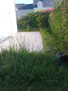 Photo de galerie - Tonte de pelouse - Débroussaillage