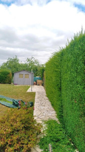 Photo de galerie - Taille de haie