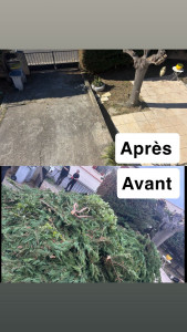 Photo de galerie - Évacuation déchets - Gravats