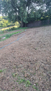 Photo de galerie - Réalisation de potager