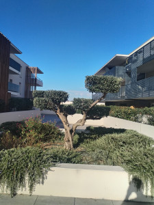 Photo de galerie - Jardinier